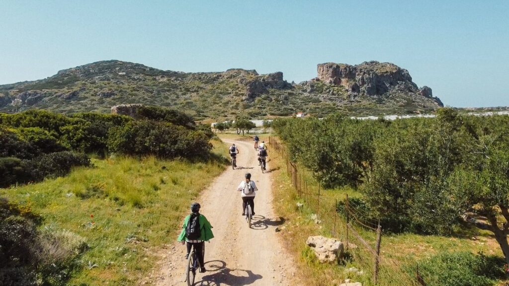 64e93950 3ed3 411a b702 245e18bb26a0